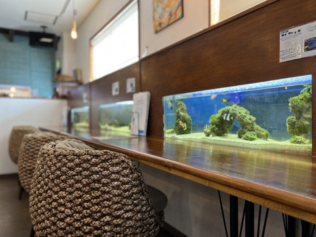 熱帯魚が眺められる南国カフェ「カフェと海遊び Sunny Season」