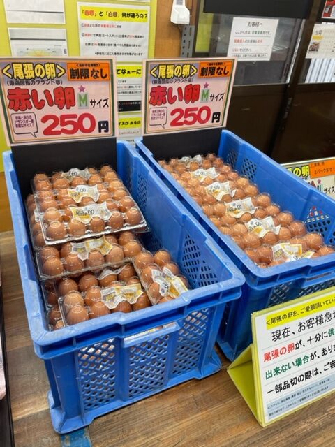 《一宮市千秋町》朝から行列ができる『卵』　　　　　　　　　　　　　　　　　　　　　　　　　　　　一宮のグルメを支えているお店をご紹介します！