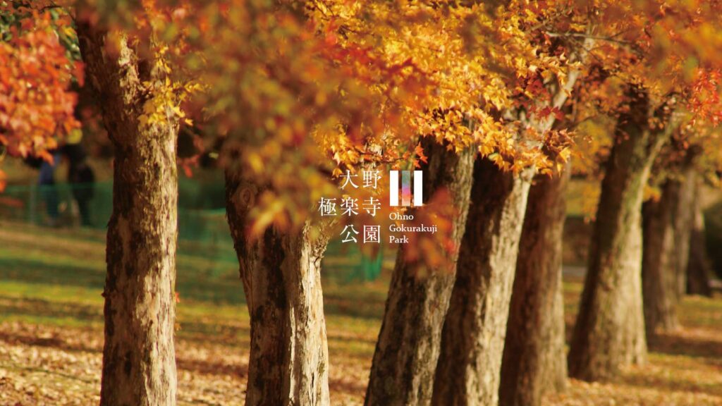「大野極楽寺公園　秋のイベント」手ぶらで行けるBBQや体験もできちゃう！！