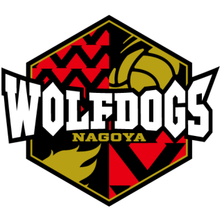 プロバレーボールチーム「ウルフドッグス名古屋」を生で応援しよう！今なら無料で観戦できるかも！